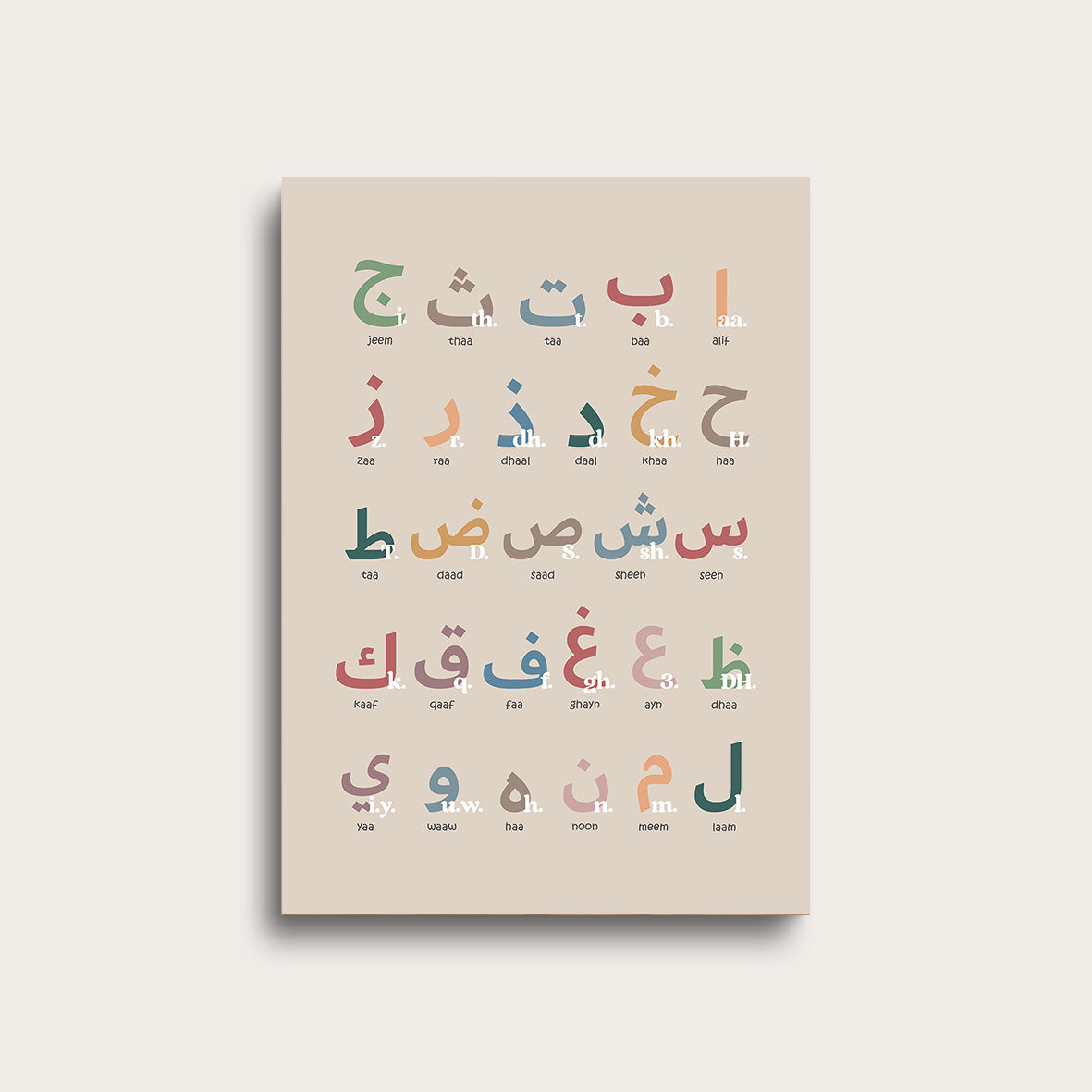 Arabic & Latin Alphabet for Children