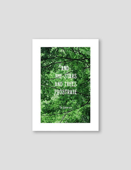 And the Stars and Trees - Doenvang