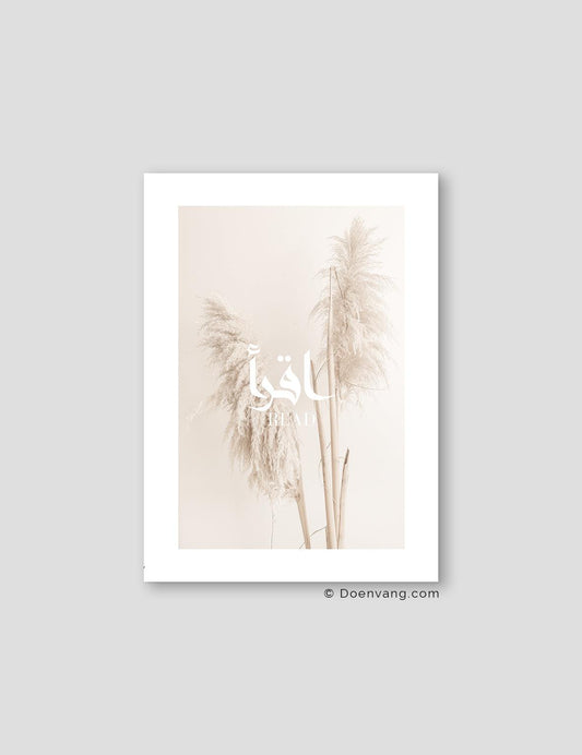 Beige Pampas, Read - Doenvang