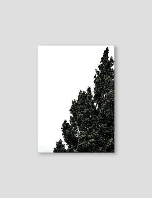 Bush - Doenvang
