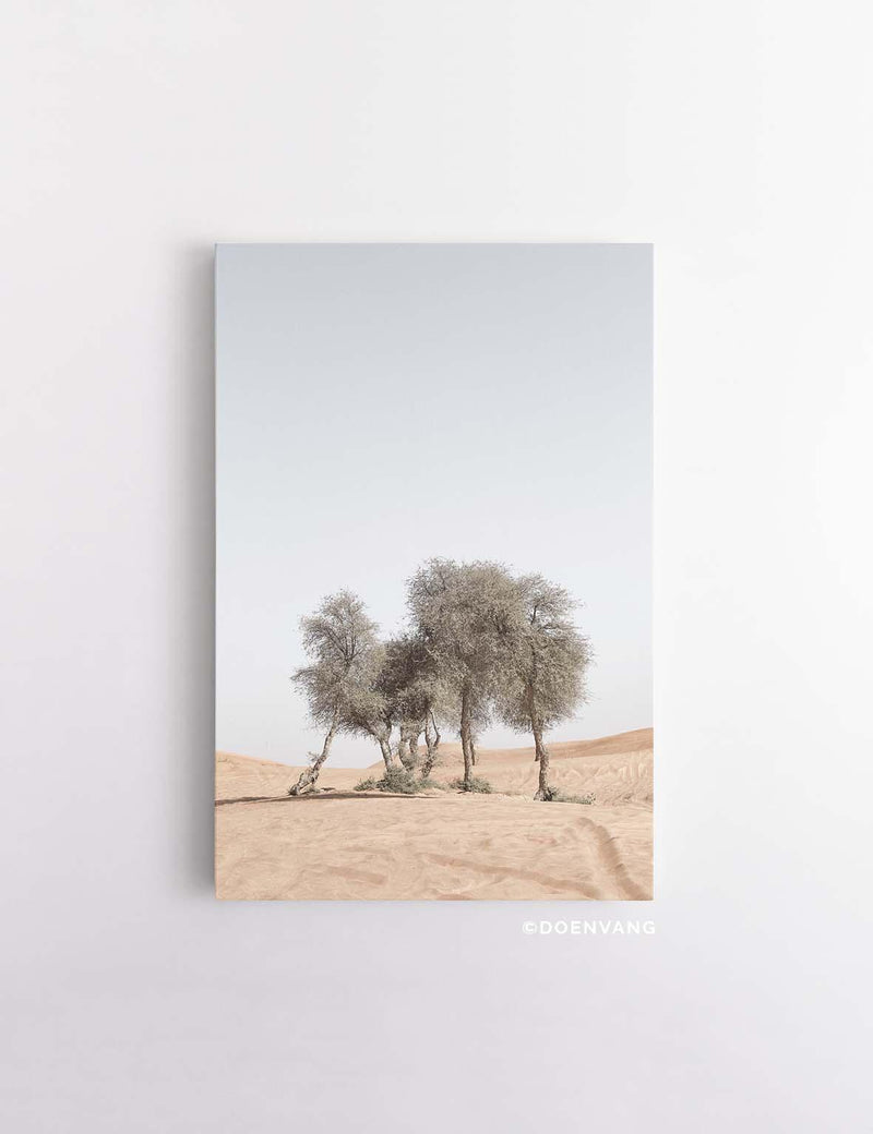 CANVAS | Desert Trees #1 - Doenvang
