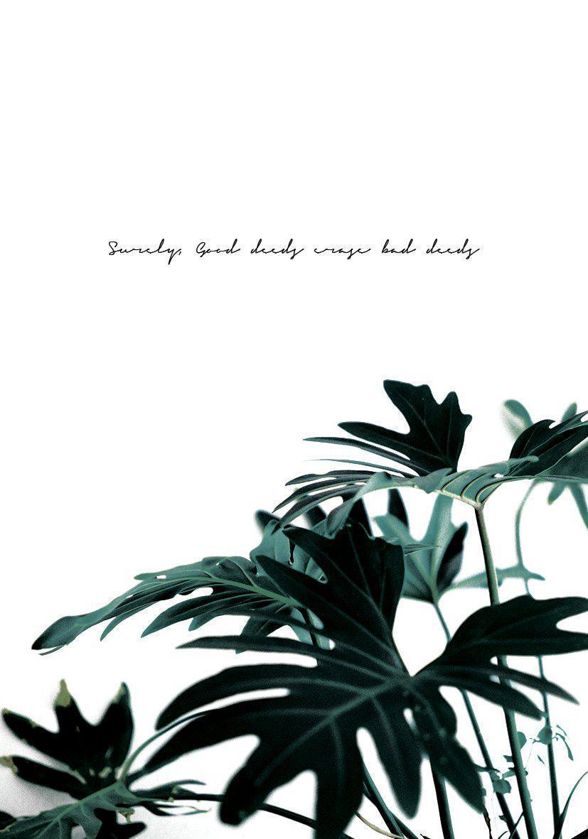 Good Deeds - Doenvang