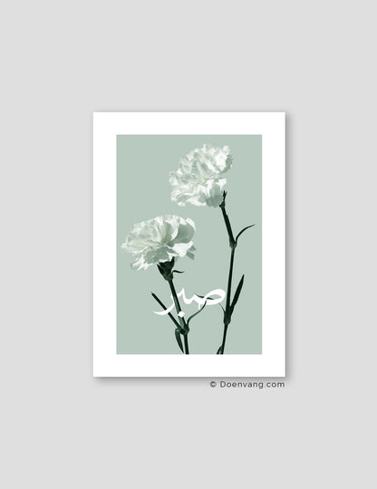Green Carnation Sabr - Doenvang
