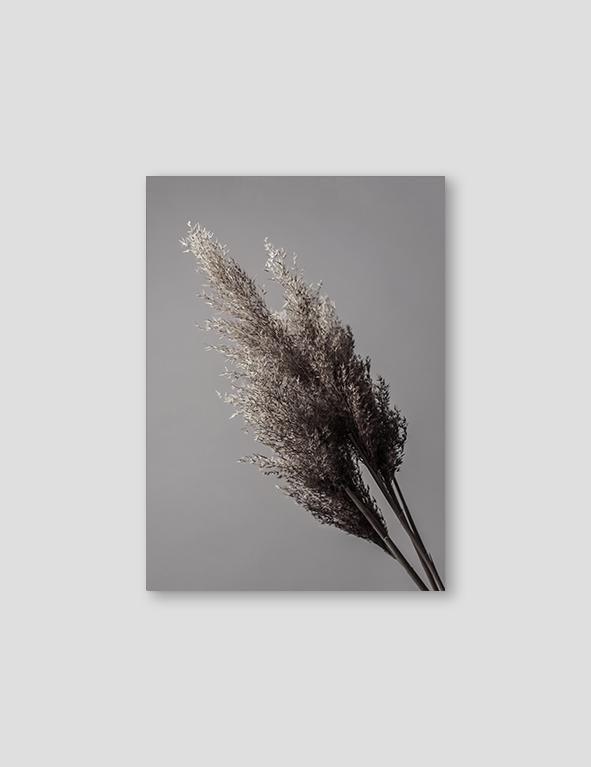 Grey Reeds #2 - Doenvang
