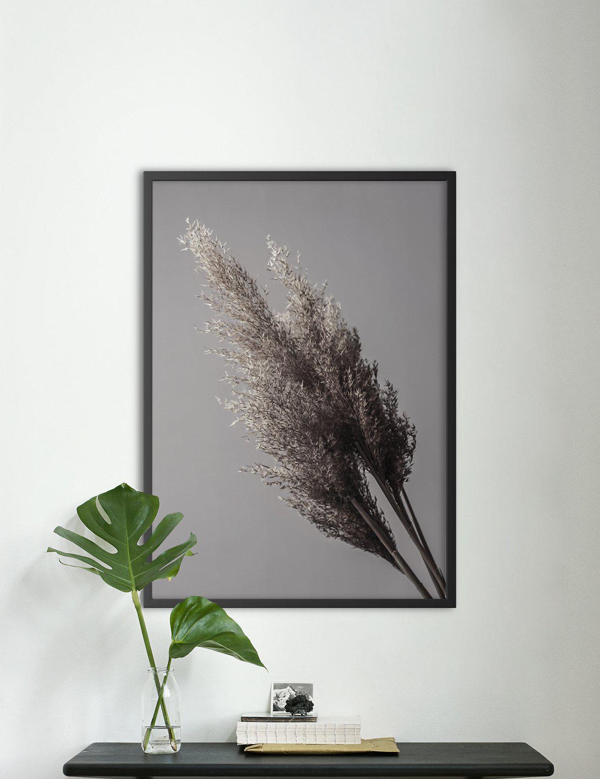 Grey Reeds #2 - Doenvang
