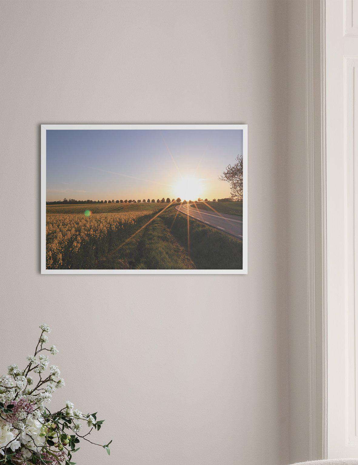 Mustard Field - Doenvang
