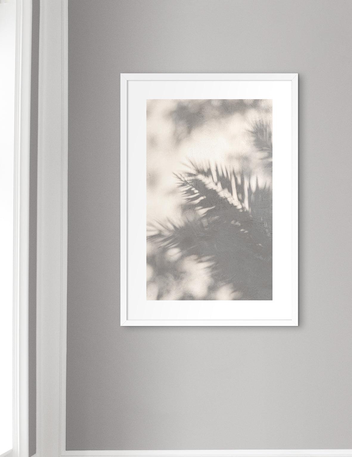 Palm Leaves Shadows, UAE 2020 - Doenvang