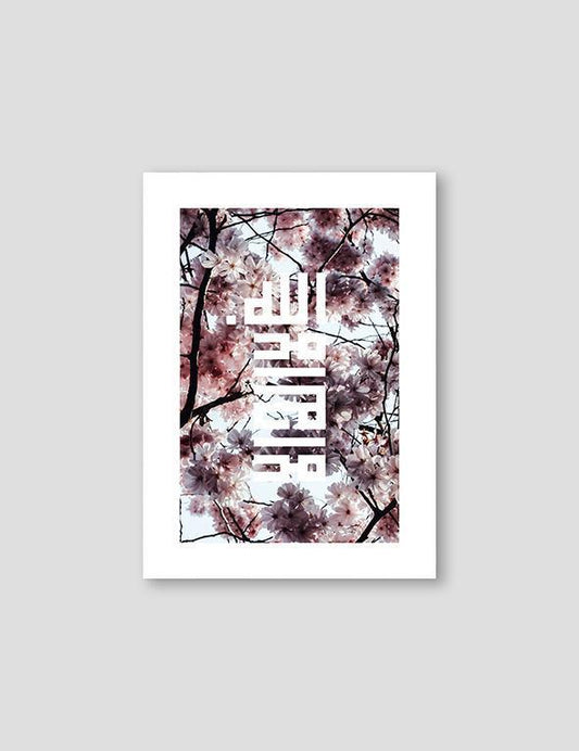Sakura Shahada - Doenvang